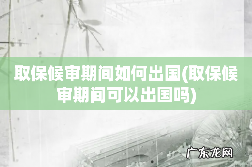 取保候审期间可以出国吗 取保候审期间如何出国