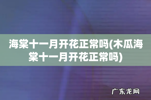 木瓜海棠十一月开花正常吗 海棠十一月开花正常吗