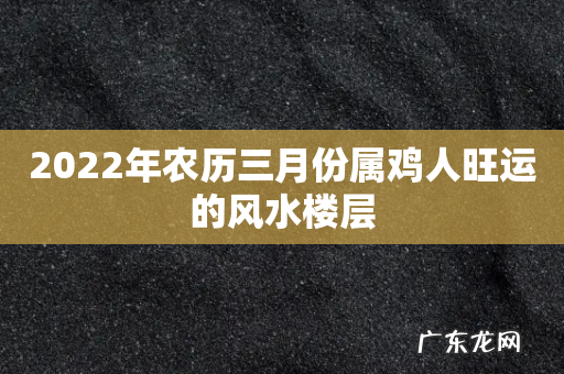 2022年农历三月份属鸡人旺运的风水楼层