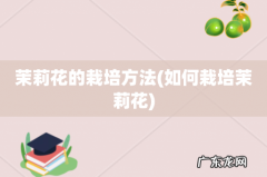 如何栽培茉莉花 茉莉花的栽培方法