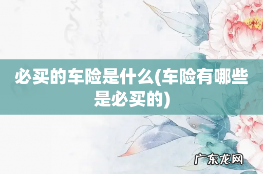 车险有哪些是必买的 必买的车险是什么