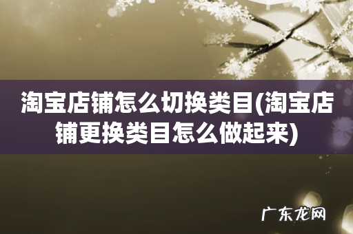 淘宝店铺更换类目怎么做起来 淘宝店铺怎么切换类目