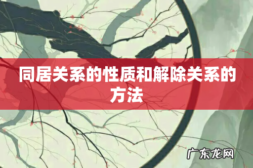 同居关系的性质和解除关系的方法