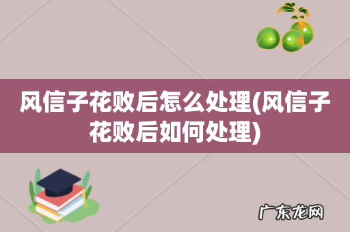 风信子花败后如何处理 风信子花败后怎么处理