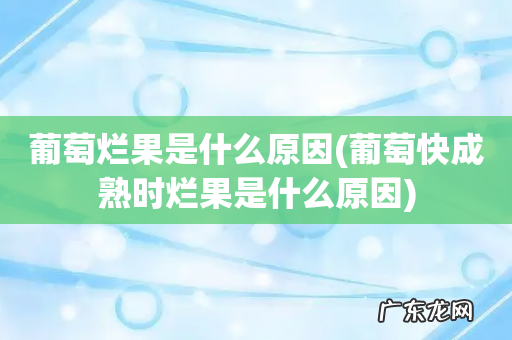 葡萄快成熟时烂果是什么原因 葡萄烂果是什么原因