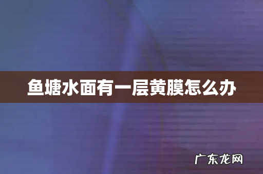 鱼塘水面有一层黄膜怎么办