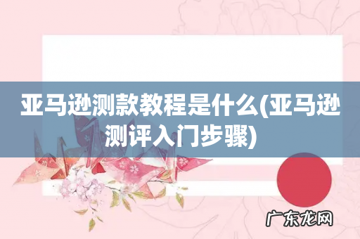 亚马逊测评入门步骤 亚马逊测款教程是什么