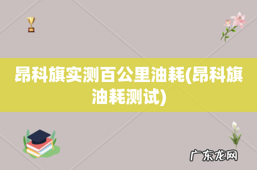 昂科旗油耗测试 昂科旗实测百公里油耗