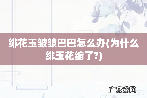 为什么绯玉花缩了? 绯花玉皱皱巴巴怎么办