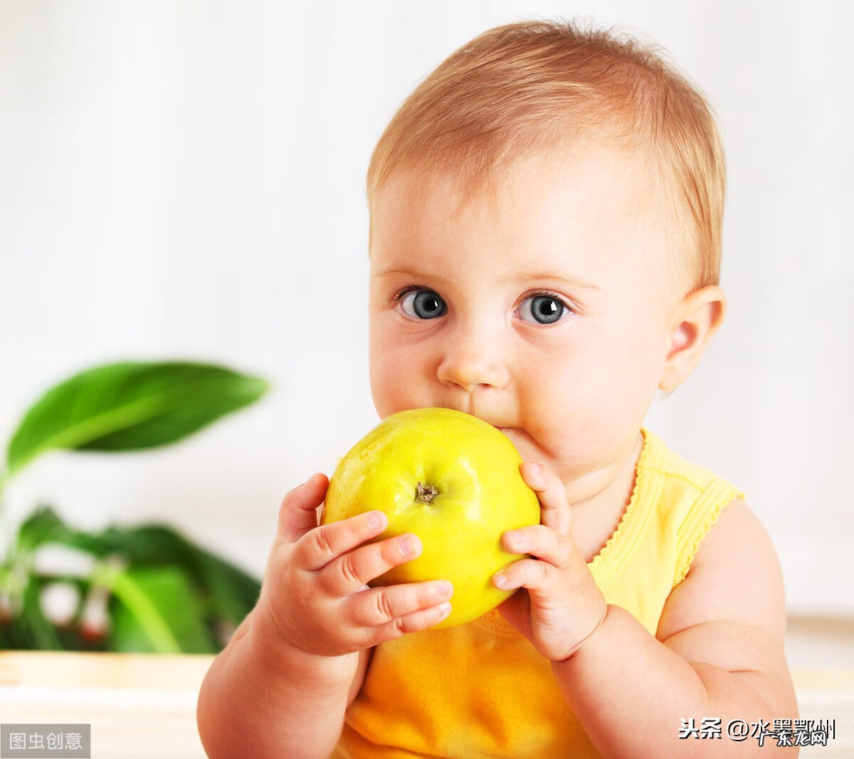 适合幼儿的菜谱 2岁宝宝食谱