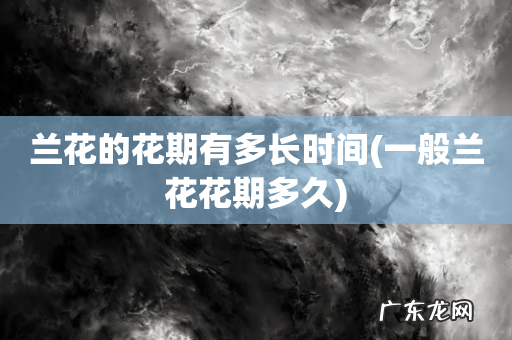 一般兰花花期多久 兰花的花期有多长时间