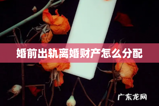 婚前出轨离婚财产怎么分配