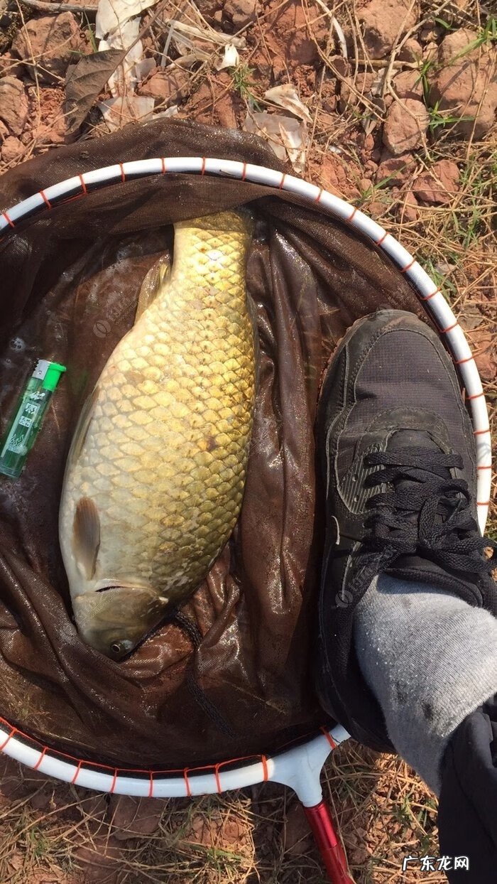 金堂东风水库可以钓鱼吗 金堂东风水库钓鱼怎么样