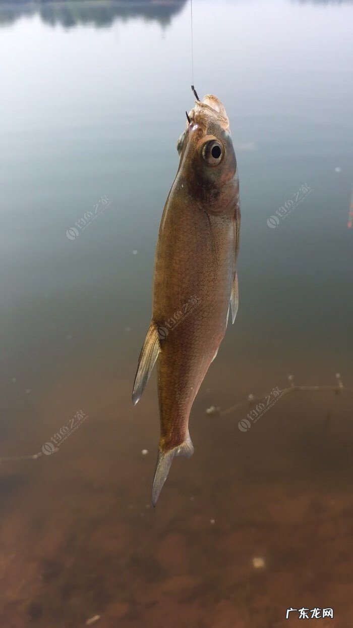 金堂东风水库可以钓鱼吗 金堂东风水库钓鱼怎么样