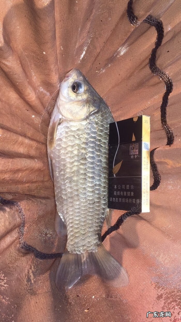 金堂东风水库可以钓鱼吗 金堂东风水库钓鱼怎么样