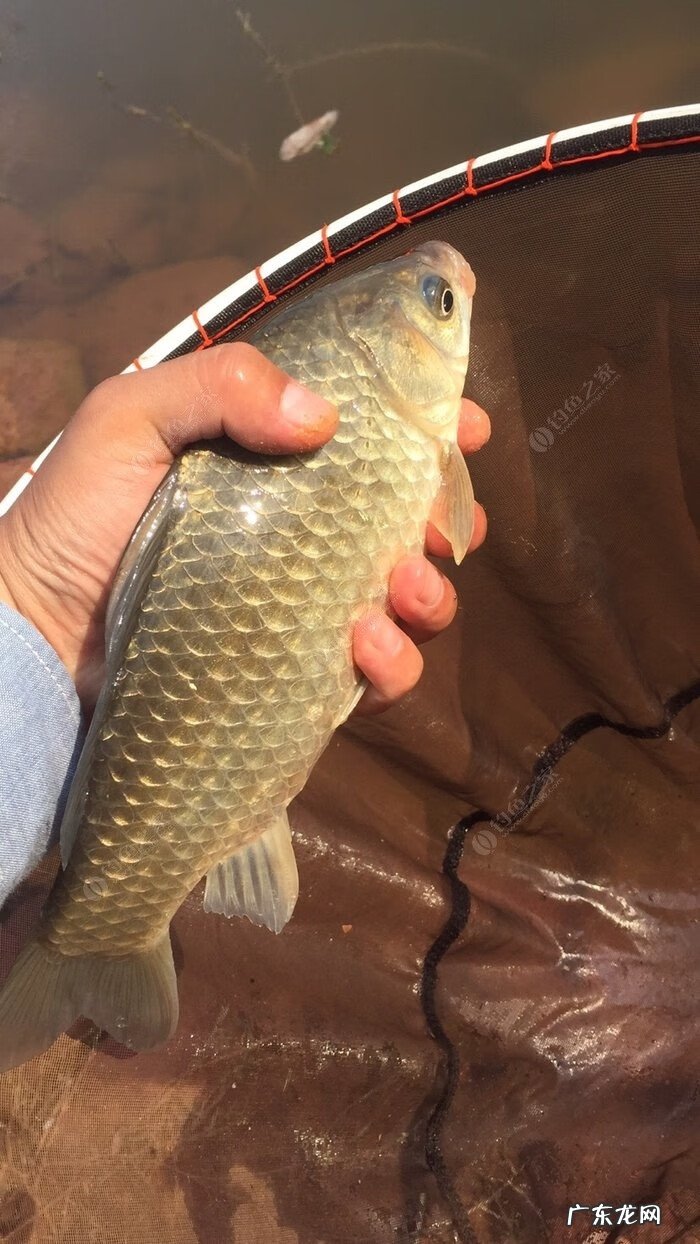 金堂东风水库可以钓鱼吗 金堂东风水库钓鱼怎么样