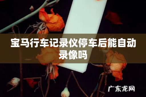 宝马行车记录仪停车后能自动录像吗