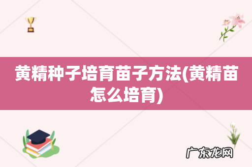 黄精苗怎么培育 黄精种子培育苗子方法
