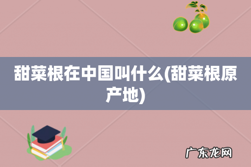 甜菜根原产地 甜菜根在中国叫什么
