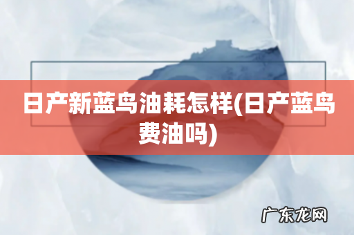 日产蓝鸟费油吗 日产新蓝鸟油耗怎样