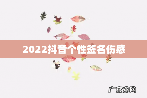 2022抖音个性签名伤感