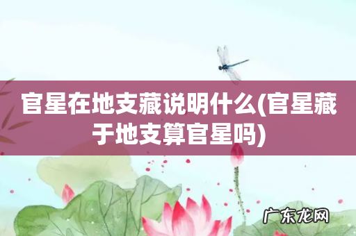 官星藏于地支算官星吗 官星在地支藏说明什么