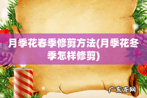 月季花冬季怎样修剪 月季花春季修剪方法