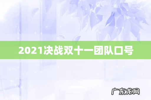 2021决战双十一团队口号
