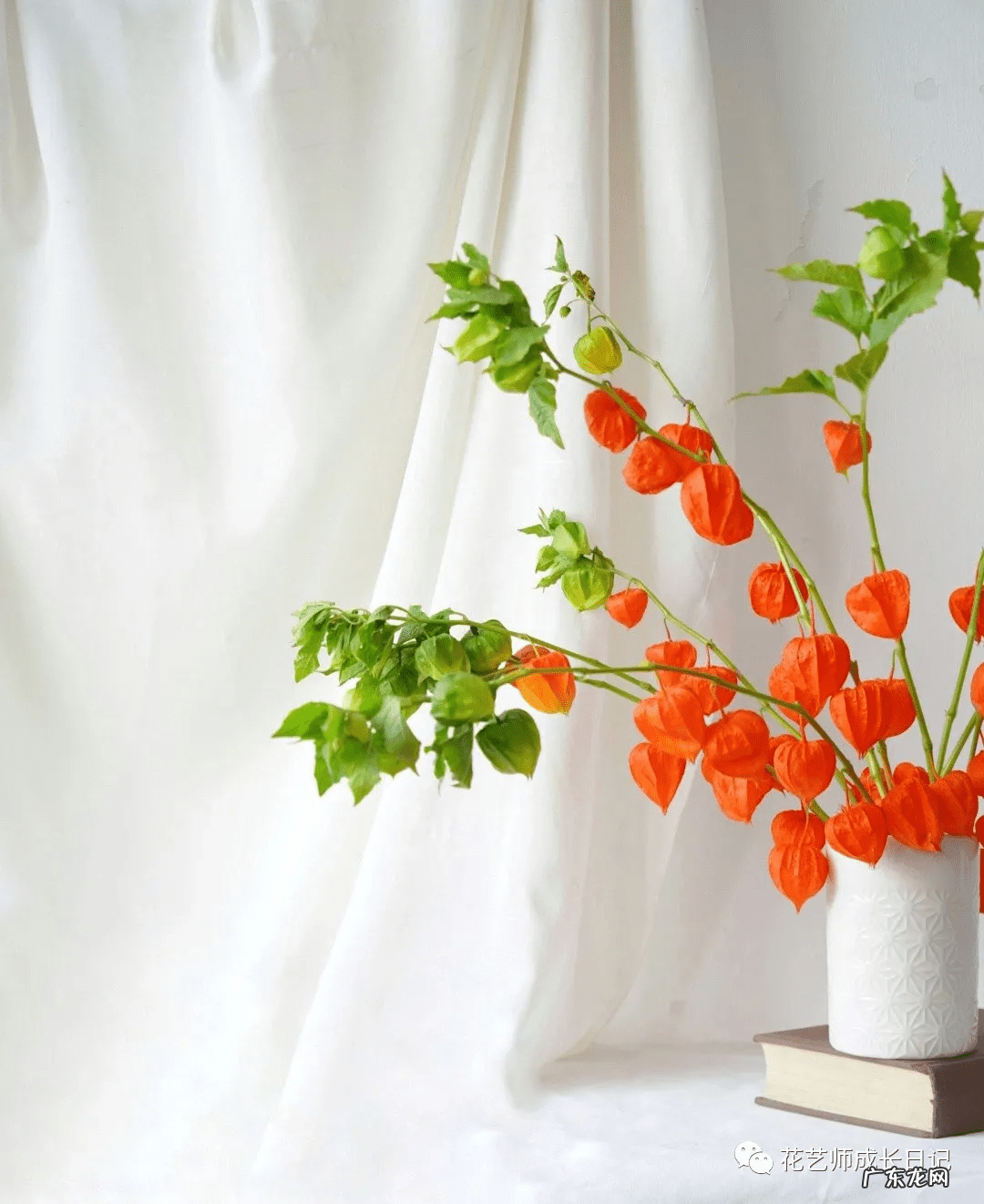 酸浆怎么做 酸浆果