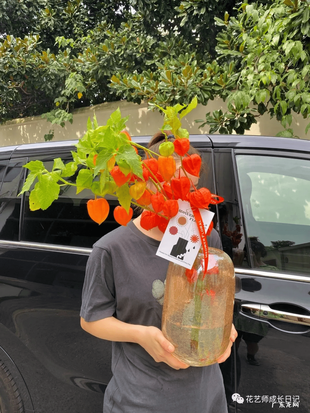 酸浆怎么做 酸浆果