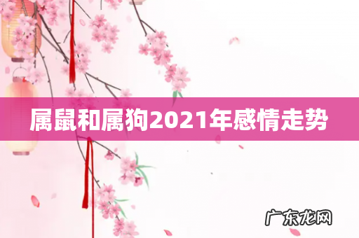 属鼠和属狗2021年感情走势