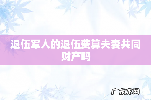 退伍军人的退伍费算夫妻共同财产吗