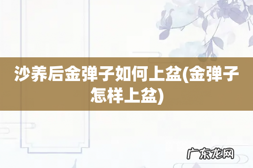 金弹子怎样上盆 沙养后金弹子如何上盆