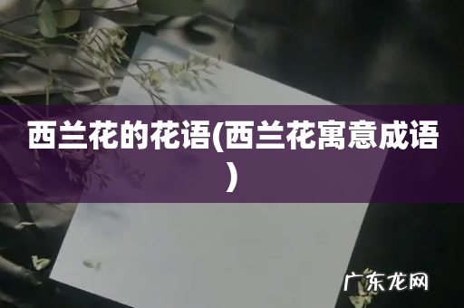 西兰花寓意成语 西兰花的花语