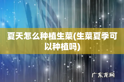 生菜夏季可以种植吗 夏天怎么种植生菜