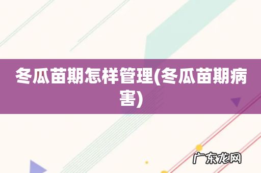 冬瓜苗期病害 冬瓜苗期怎样管理