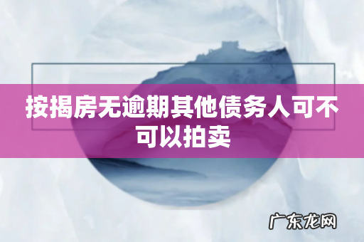按揭房无逾期其他债务人可不可以拍卖