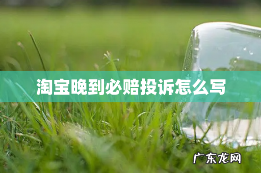 淘宝晚到必赔投诉怎么写