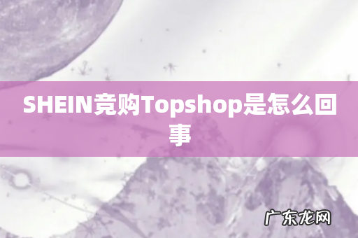SHEIN竞购Topshop是怎么回事