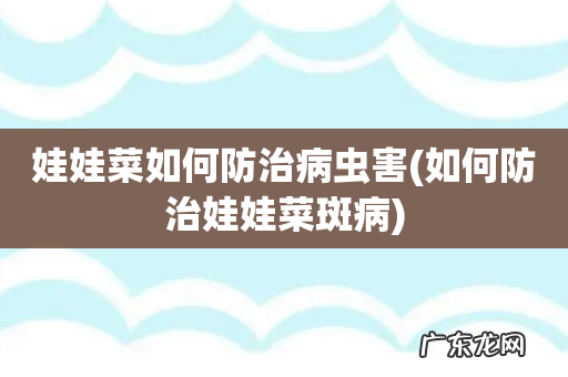 如何防治娃娃菜斑病 娃娃菜如何防治病虫害