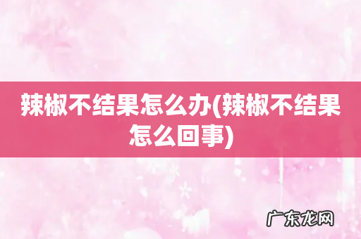 辣椒不结果怎么回事 辣椒不结果怎么办