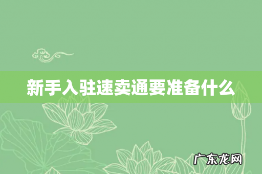 新手入驻速卖通要准备什么