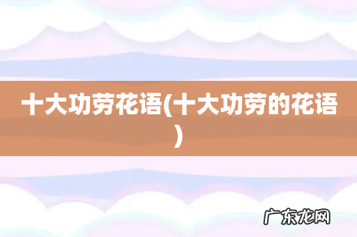 十大功劳的花语 十大功劳花语