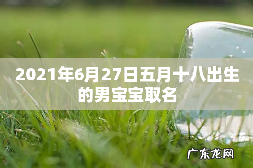 2021年6月27日五月十八出生的男宝宝取名