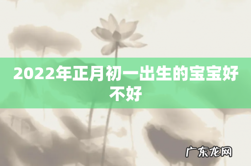 2022年正月初一出生的宝宝好不好