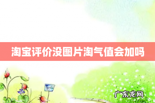 淘宝评价没图片淘气值会加吗