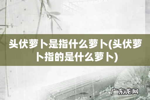 头伏萝卜指的是什么萝卜 头伏萝卜是指什么萝卜