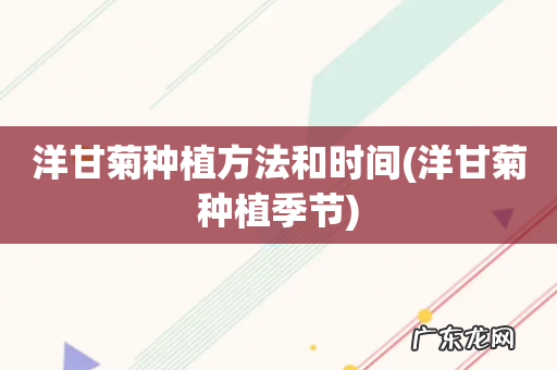 洋甘菊种植季节 洋甘菊种植方法和时间