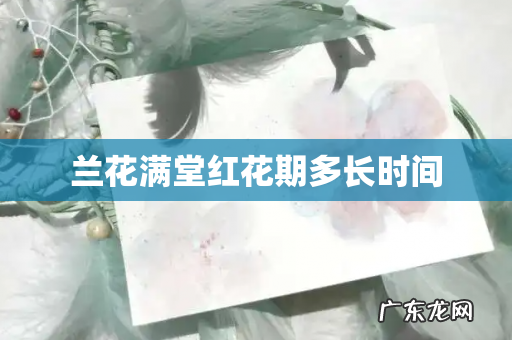 兰花满堂红花期多长时间
