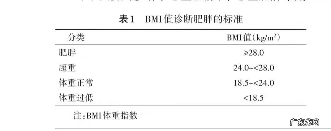 减肚子最好的减肥药 吃什么减肥药效果最好